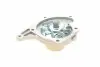 PA10209 Помпа води Renault Kangoo/Megane/Scenic/Laguna/Logan/Clio/Nissan Qashqai/Note 1.5dCi 05-(B/B)(10лоп) BUGATTI підбір по vin на Brocar