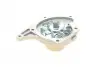 PA10209 Помпа води Renault Kangoo/Megane/Scenic/Laguna/Logan/Clio/Nissan Qashqai/Note 1.5dCi 05-(B/B)(10лоп) BUGATTI підбір по vin на Brocar