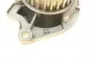 PA8710 Помпа води Skoda Fabia/Octavia/Seat Ibiza/Cordoba/VW Caddy/Golf/Polo 1.4/1.4 16V 00- (B/B)(7лоп) BUGATTI підбір по vin на Brocar