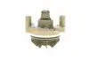 PA7724 Помпа воды Renault Master/Trafic/Laguna/Opel Vivaro/Movano/Nissan 2.2dCi/2.5dCi 00- (B/B)(8лоп) BUGATTI підбір по vin на Brocar