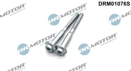 DRM01076S К-т болтов крепления форсунки DR.MOTOR подбор по vin на Brocar