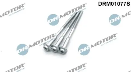 DRM01077S К-т болтов крепления форсунки DR.MOTOR подбор по vin на Brocar