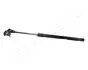 ZS20013 Газовий амортизатор капота Land Cruiser -02 JAPANPARTS підбір по vin на Brocar