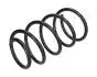 Пружина подвески передн.Accent,Kia Rio 05- ZC3209G