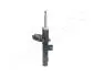 MM00367 Амортизатор масл.передн.правий.Berlingo 02- JAPANPARTS підбір по vin на Brocar