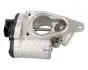 EGR805 Клапан EGR Megane II 1.9dCi 05-,Laguna II JAPANPARTS підбір по vin на Brocar