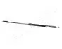 ZS09179 Амортизатор багажника Passat 81-88 KOMBI JAPANPARTS підбір по vin на Brocar