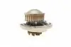 PA0313 Помпа води Audi 50/80/VW Golf/Jetta/Passat/Polo 0.9-1.3 74-94 (B/B) (8 лоп) BUGATTI підбір по vin на Brocar