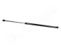 Газовий амортизатор капота C-Class W204 ZS05029