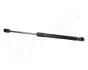ZS09196 Амортизатор багажника VW PASSAT VI 05- JAPANPARTS підбір по vin на Brocar
