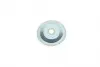 331316171207 Ролик генератора Ford Mondeo II 2.0/1.8/Galaxy II 2.0i 16V- (паразитный) MAGNETI MARELLI підбір по vin на Brocar