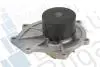 Помпа воды Freelander MG ZS ROVER 75 PA10028