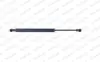 Амортизатор газовый багажн. X1 (E84) ML6108