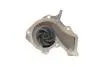 PA6010 Помпа воды Ford Fiesta IV/V/Focus/Fusion 1.25/1.4/1.6 95-12/Mazda 2 03-07/Volvo C30/S40/V50 05-12 BUGATTI підбір по vin на Brocar