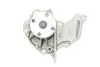 PA6010 Помпа воды Ford Fiesta IV/V/Focus/Fusion 1.25/1.4/1.6 95-12/Mazda 2 03-07/Volvo C30/S40/V50 05-12 BUGATTI підбір по vin на Brocar