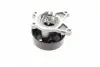 PA10200 Помпа води Renault Laguna III/Megane III/Scenic III/Nissan X-Trail/Qashqai 2.0 16V 07- BUGATTI підбір по vin на Brocar