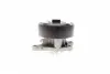 PA10200 Помпа води Renault Laguna III/Megane III/Scenic III/Nissan X-Trail/Qashqai 2.0 16V 07- BUGATTI підбір по vin на Brocar