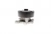 PA10200 Помпа води Renault Laguna III/Megane III/Scenic III/Nissan X-Trail/Qashqai 2.0 16V 07- BUGATTI підбір по vin на Brocar