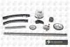Цепь с натяжителем в комплекте. TC6300VFK