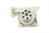PA10145 Помпа воды Renault Kangoo/Clio/Duster/Laguna/Megane/Nissan Qashqai/Juke 1.5dCi 09-/MB (OM607/OM608) BUGATTI підбір по vin на Brocar