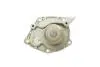 PA10051 Помпа води Renault Megane/Laguna/Scenic/Nissan 1.9dCi/Suzuki Grand Vitara 1.9DDiS 02- BUGATTI підбір по vin на Brocar
