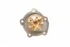 PA10058 Помпа воды Suzuki Vitara 1.6 15-/Grand Vitara 1.6/Swift 1.3/1.5/1.6/SX4 1.5-1.6VVT 05- (R/B)(8лоп) BUGATTI підбір по vin на Brocar
