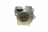 PA6003 Помпа воды Ford Transit 2.5D/TD 85-00/LDV Convoy 2.5DI/TDI 98-09 BUGATTI підбір по vin на Brocar