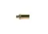 2417413087 Клапан ТНВД MAN 4,6/6,9 94-02 BOSCH підбір по vin на Brocar