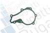 PA10013 Помпа воды Citroen C1/C2/C3/Nemo/Ford Fiesta/Peugeot 1007/206/307 1.4HDi/TDCI 02- BUGATTI підбір по vin на Brocar