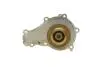 PA10013 Помпа води Citroen C1/C2/C3/Nemo/Ford Fiesta/Peugeot 1007/206/307 1.4HDi/TDCI 02- BUGATTI підбір по vin на Brocar