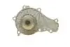 PA10013 Помпа води Citroen C1/C2/C3/Nemo/Ford Fiesta/Peugeot 1007/206/307 1.4HDi/TDCI 02- BUGATTI підбір по vin на Brocar