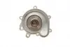 PA10192 Помпа води MB C-class (W203/W204)/E-class (W211/W212)/SLK-class (R171/R172) 1.8 02-15 (M271) BUGATTI підбір по vin на Brocar
