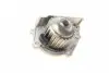 PA10022 Помпа воды Rover 100/200/400/25/45/75 1.1/1.4/1.6/1.8 90-05 (24z) (B/B) (6 лоп) BUGATTI підбір по vin на Brocar