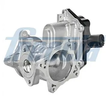 EGR12198 Клапан рециркуляції газів FRECCIA підбір по vin на Brocar