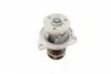 PA10073 Помпа води Ford Fiesta V/Fusion 1.3 01-08 (R/B) (6 лоп.) BUGATTI підбір по vin на Brocar