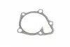 PA10149 Помпа води Jeep Compass/Mitsubishi Lancer VIII/Outlander/Peugeot 4007 1.8/2.0/2.4 08- (B/B)(6 лоп) BUGATTI підбір по vin на Brocar