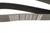 8PK1390 Ремень поликлиновой DAYCO підбір по vin на Brocar