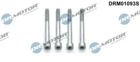 DRM01093S ŚRUBA WTRYSKIWACZA CITROEN C5 2,2HDI 09- 4SZT. DR.MOTOR підбір по vin на Brocar