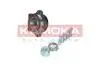 Подшипник ступицы (передней) Ford Transit 06- (d=49) (для повышенной нагрузки) 5500238