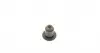 Сальник клапана (впуск/випуск) Fiat Ducato 2.3/3.0JTD 06- 49472021