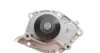 173157 Комплект ГРМ + помпа Nissan Primera 1.9dCi 02-/Renault Scenic/Megane 1.9dCi 03-(133x26) FEBI BILSTEIN підбір по vin на Brocar