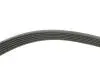 529034810 Комплект ременя генератора Opel Astra/Insignia 2.0 CDTI 08-17 (6PK1903) INA підбір по vin на Brocar