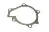 PA10181 Помпа воды Hyundai ix35/Tucson/Santa Fe II/III/Kia Sportage/Sorento 2.0/2.2 CRDi 09- (R/B) (7 лоп) BUGATTI підбір по vin на Brocar