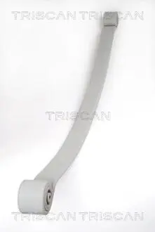876523019 Пружина ходової частини TRISCAN підбір по vin на Brocar