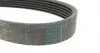 6PK1693WP1 Комплект ременя генератора + помпа Audi A3/Skoda Fabia/Octavia/Rapid/VW Caddy/Golf/Polo 1.2TSI 08-15 CONTITECH підбір по vin на Brocar