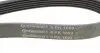 6PK1693WP1 Комплект ременя генератора + помпа Audi A3/Skoda Fabia/Octavia/Rapid/VW Caddy/Golf/Polo 1.2TSI 08-15 CONTITECH підбір по vin на Brocar