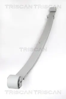 876510005 RESOR CITROEN T. JUMPER 06-/FIAT DUCATO 06-/PEUGEOT BOXER 06- (2 PIÓRA) (715/715MM) TRISCAN подбор по vin на Brocar