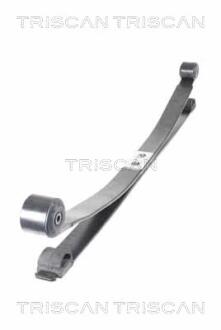 876516052 Рессора задняя Ford Transit 2.0/2.2D 12- (2-ох листовая) (76/695/680) TRISCAN підбір по vin на Brocar