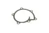 PA10239 Помпа води Citroen C4/Peugeot 4008 1.8HDi 12-/Mitsubishi Lancer 1.8DI-D/Outlander 2.2DI-D(B/B)(8лоп) BUGATTI підбір по vin на Brocar