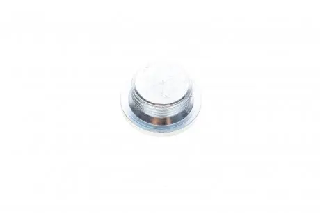 589770 Різьбова пробка масляного піддону M 24x1,25x10 А4 / А6/А8 03-,VW ELRING підбір по vin на Brocar